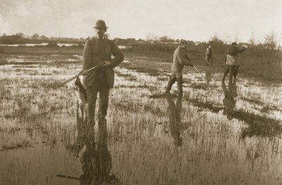 Snipe Shooting, 1886 by Peter Emerson und Thomas Goodall